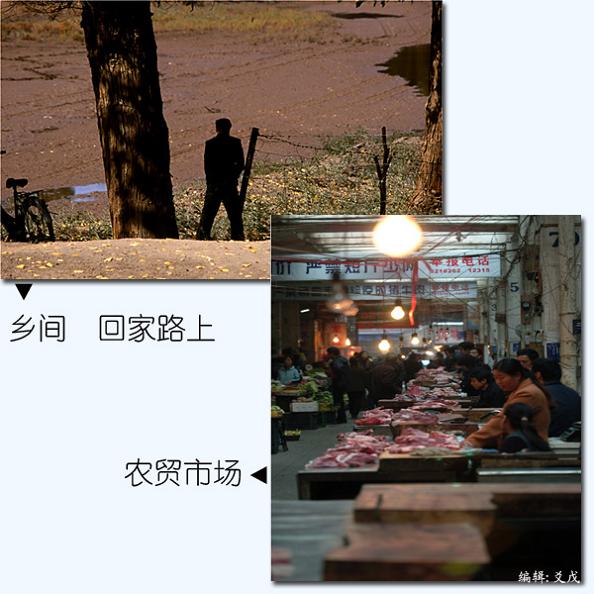 20051117152822138.jpg