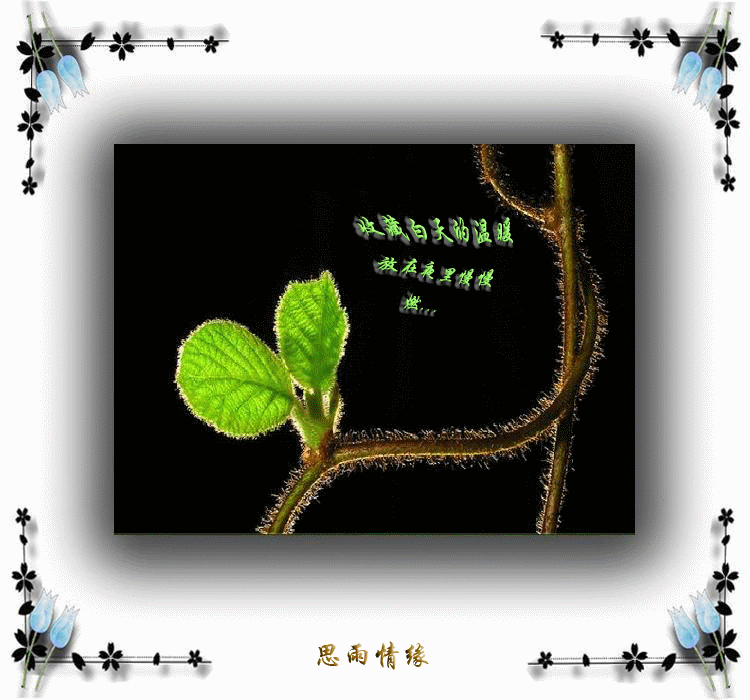 6e29zs.gif