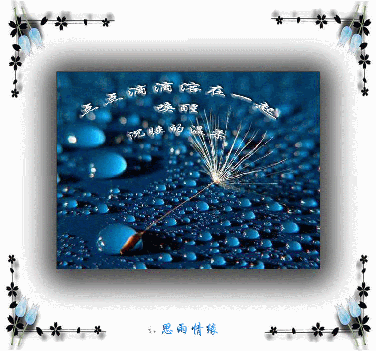 6e2ah5.gif