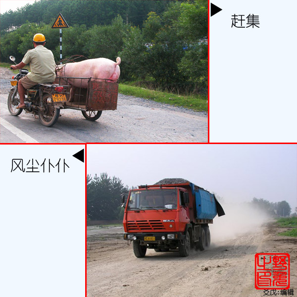 20051117153042787.jpg