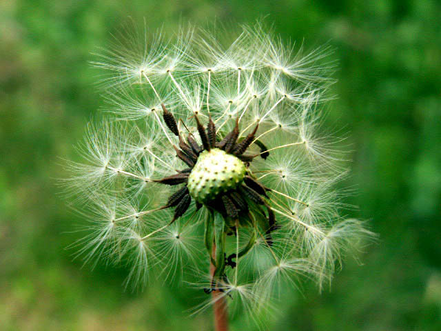 2005916065167.jpg