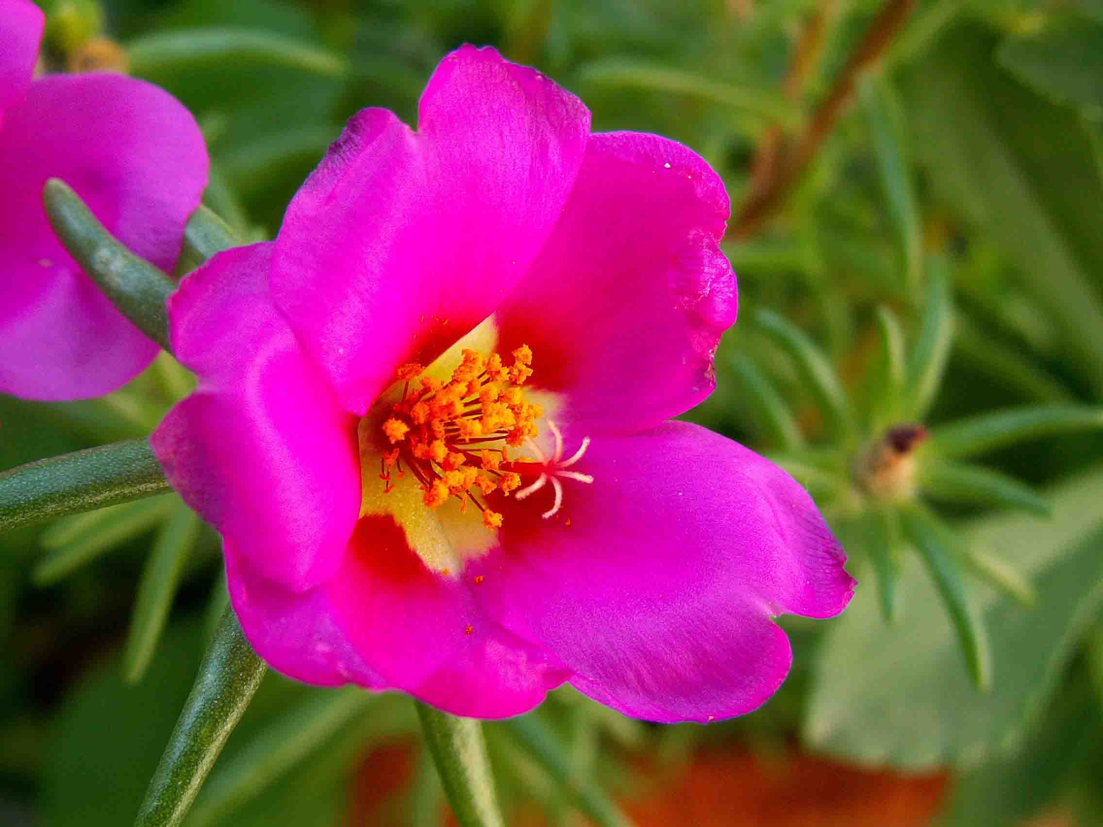 2005916072929.jpg
