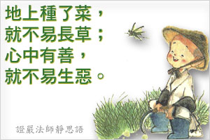xin_000501261707455281726.jpg
