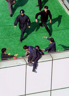 1466454.jpg