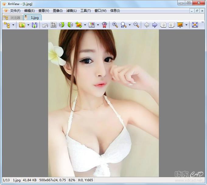 Xnview（图片浏览）V2.46.0 简体中文绿色标准版-1.jpg