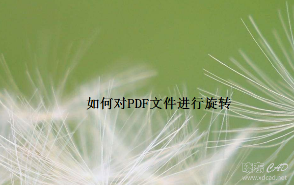 0.png
