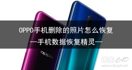 企业微信截图_15530773473731.jpg