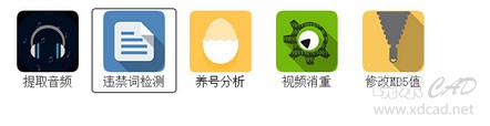 抖音分析师 V3.7.3 简体中文绿色版-2.jpg